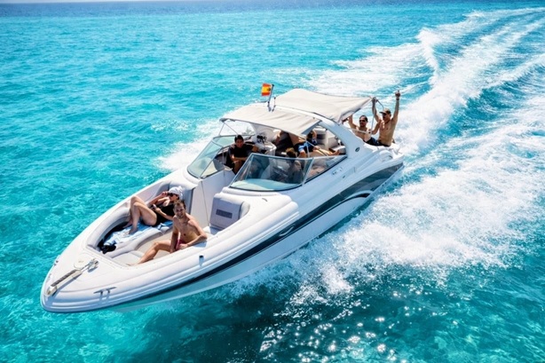 Sea Ray 290